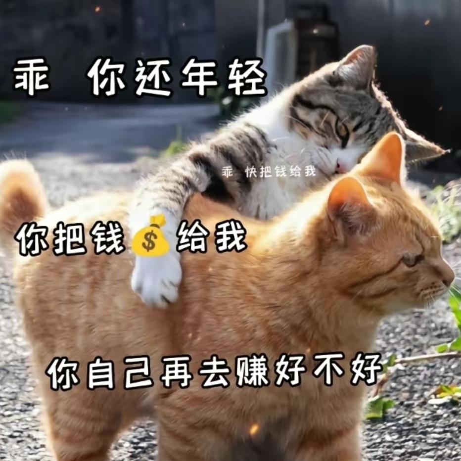 🌈ƪ(˘⌣˘)ʃ捌楽。头像