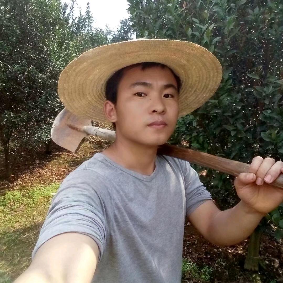 橙心橙意与你相遇