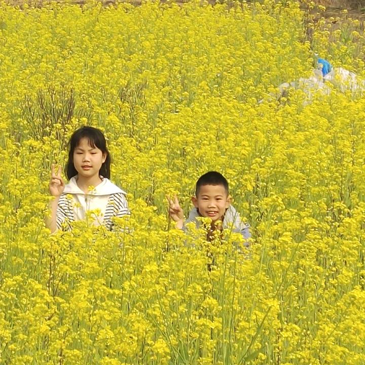 农村桃子