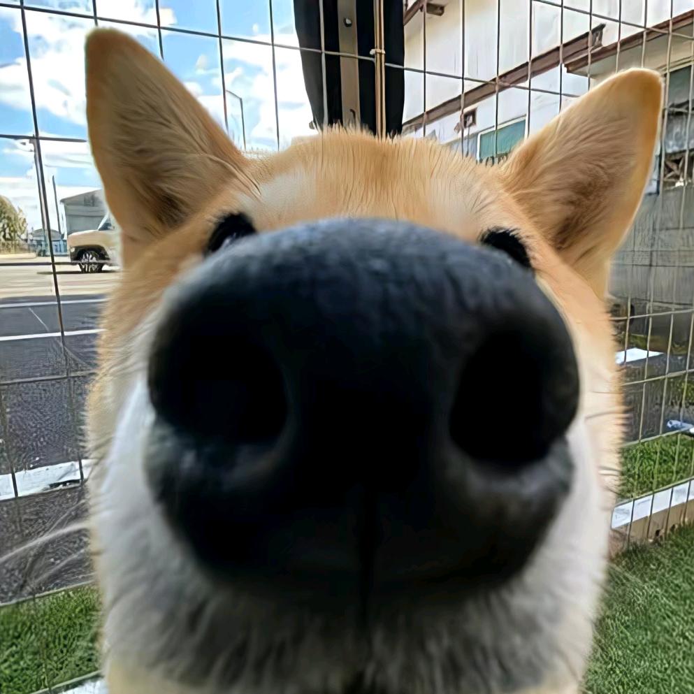 三十（三角洲行动）