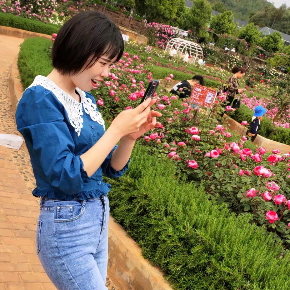 斗南备份好客花卉