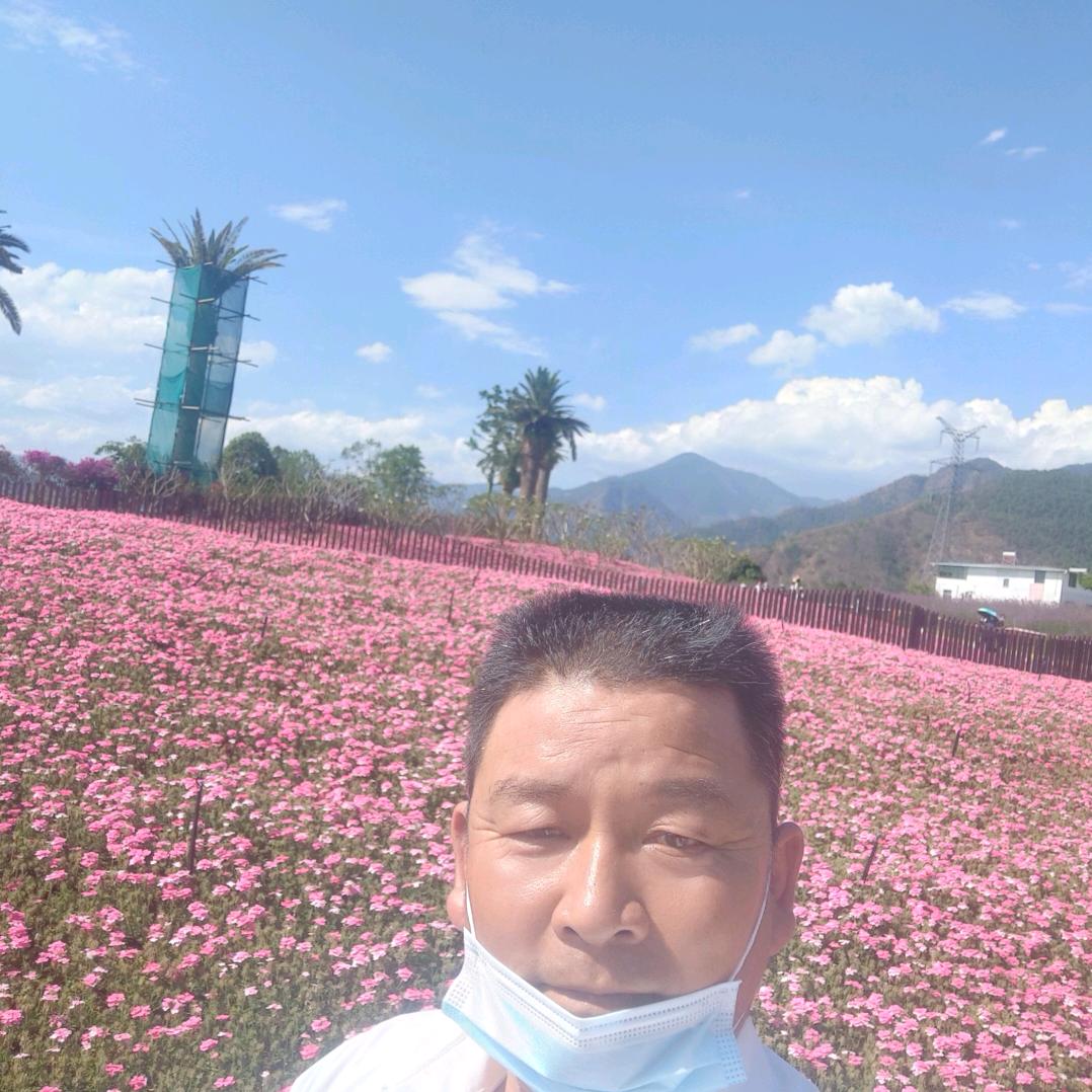 风平浪尽