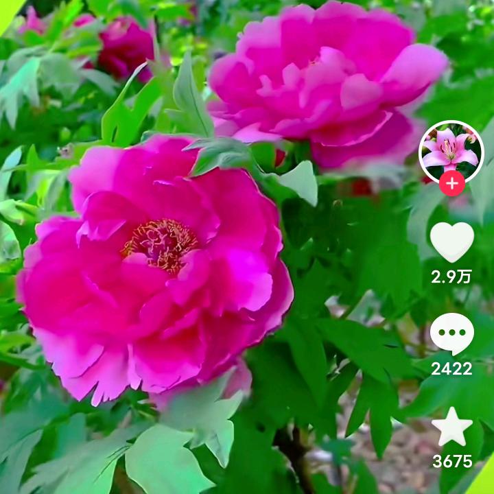.随遇而安