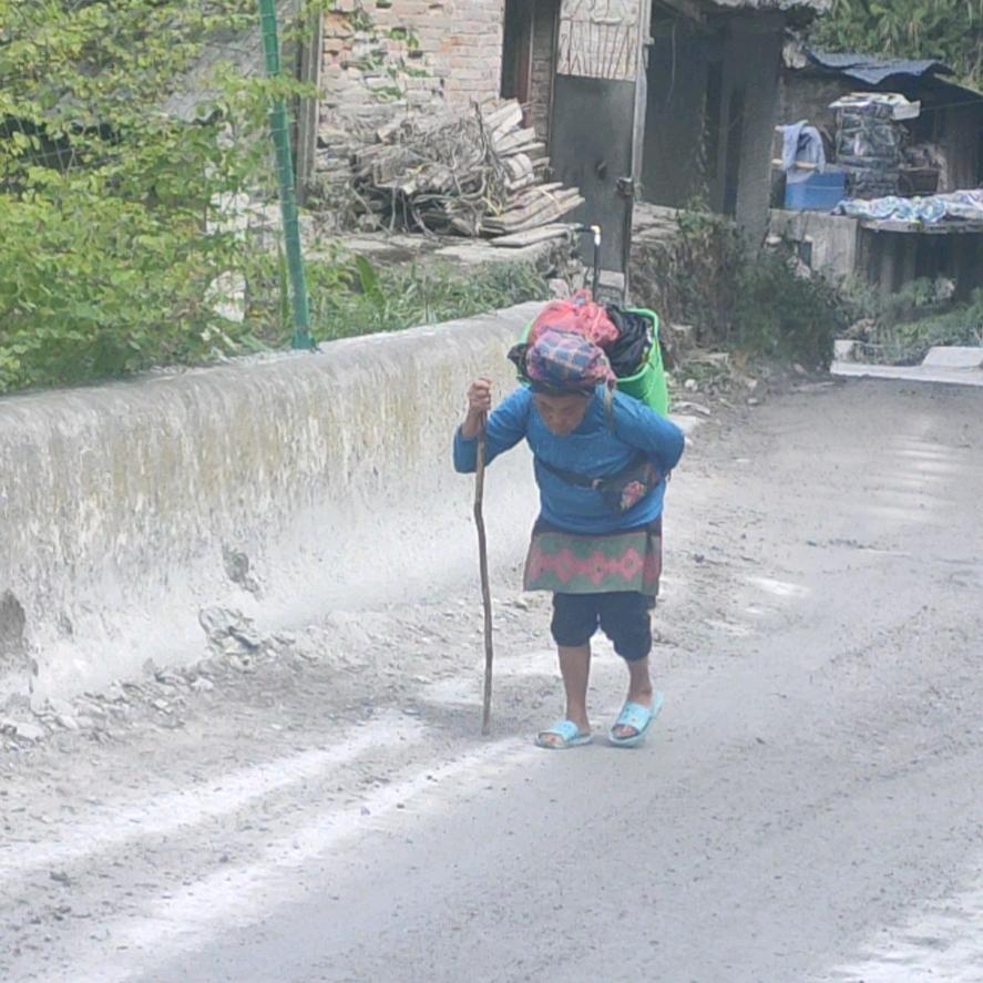 我是个地道的二傻子也是一头蠢驴