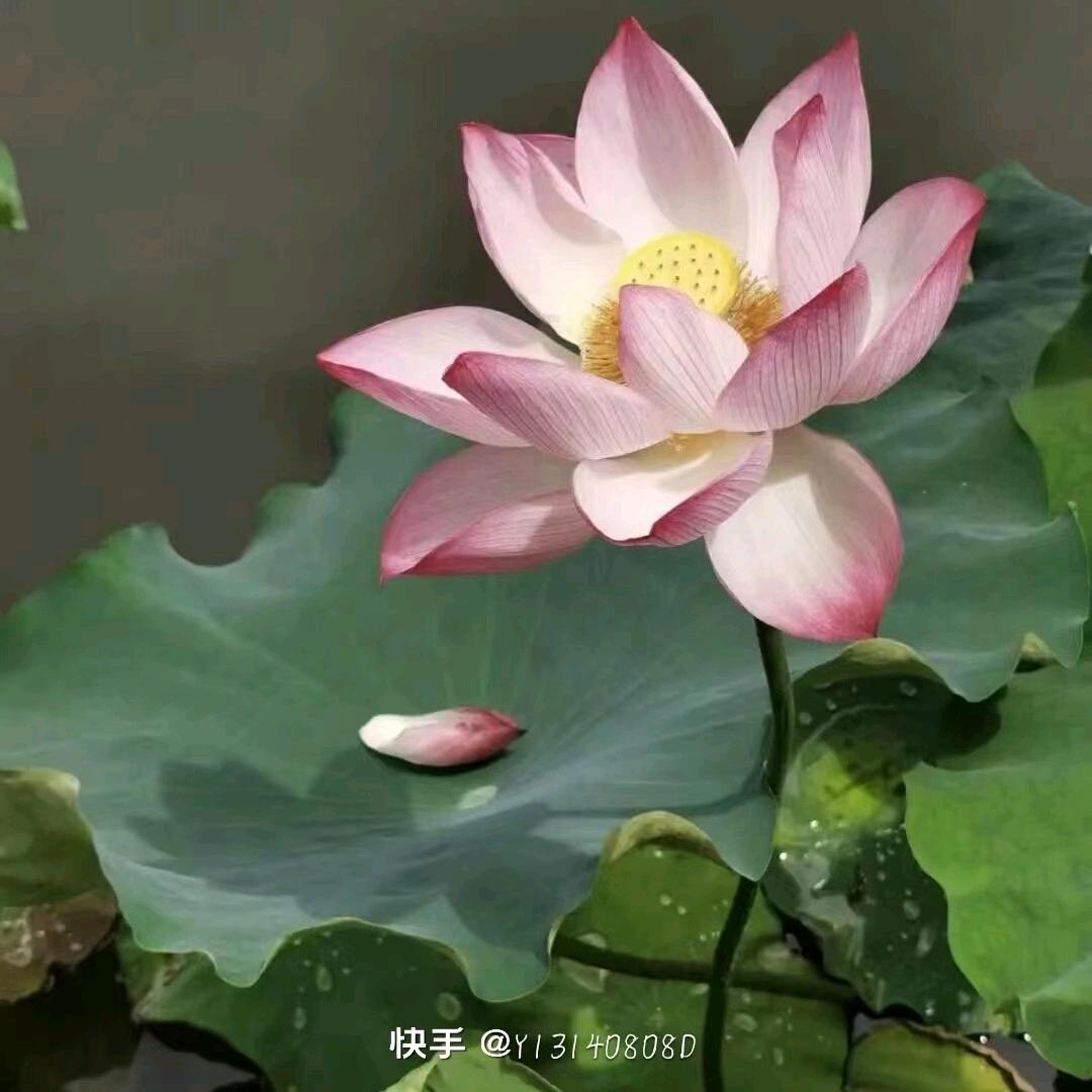 笑容满面