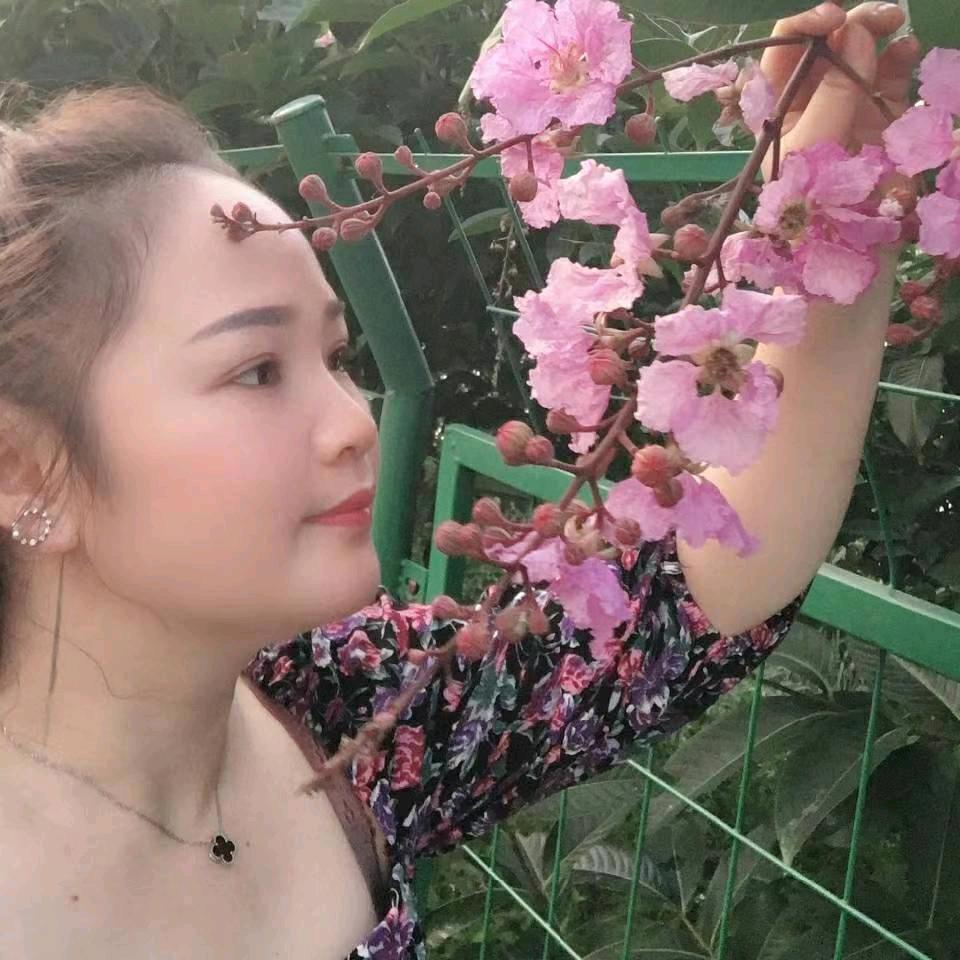 白家小小姐
