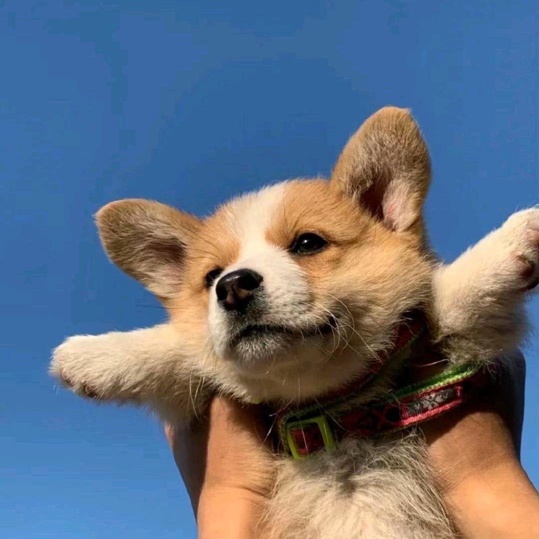 呜呼呼！