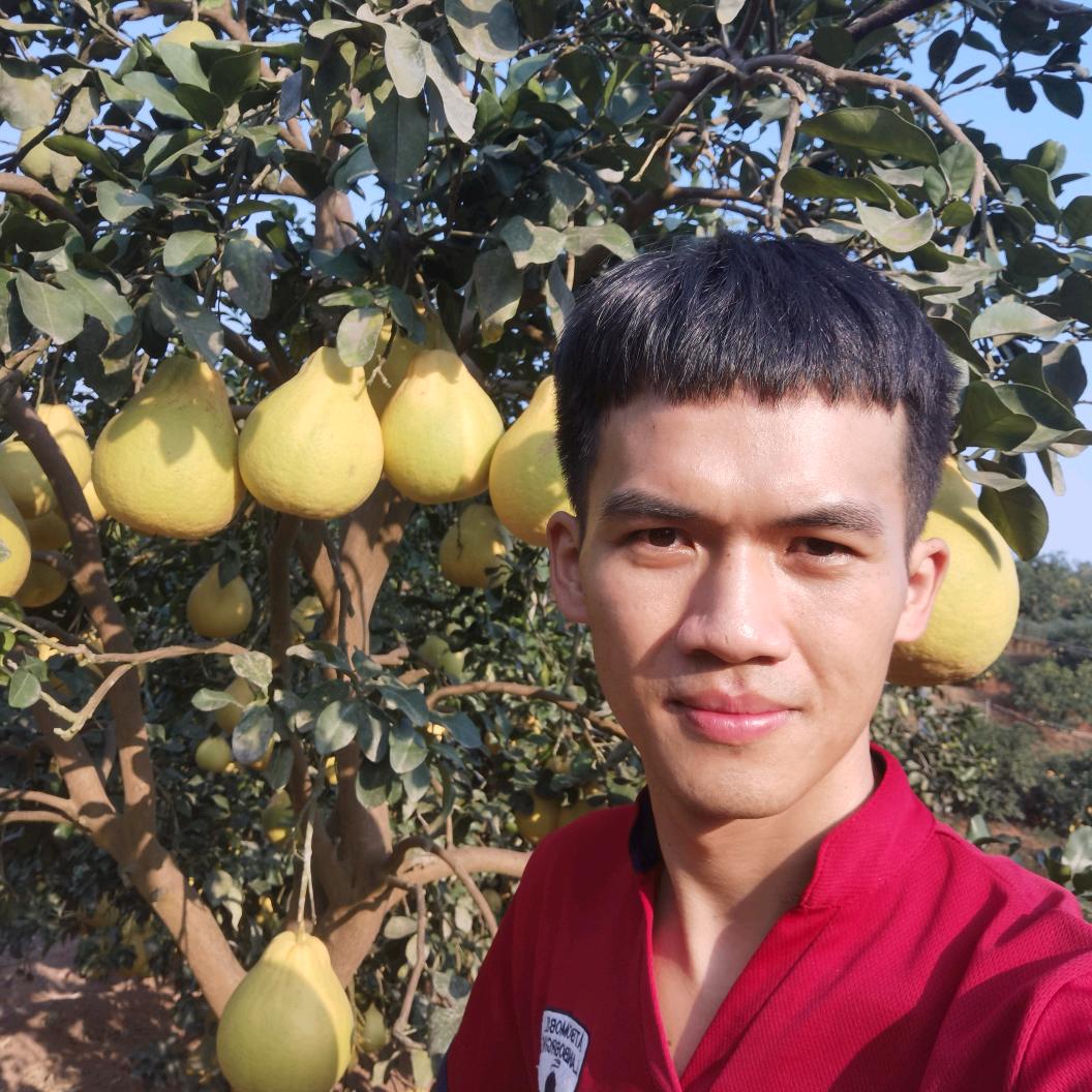 柚子哥卖柚子的第十二个年头