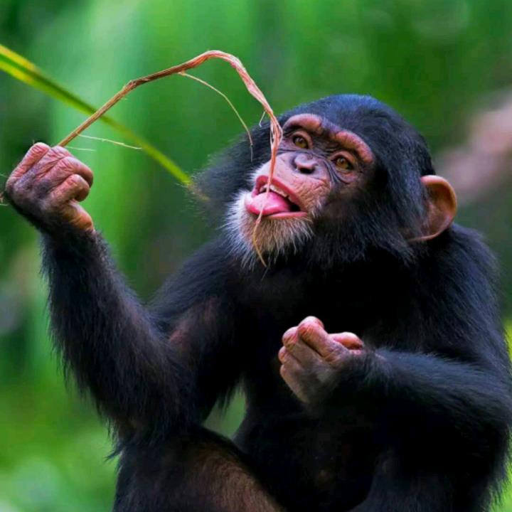 跟我《漂洋过海来看你》。′