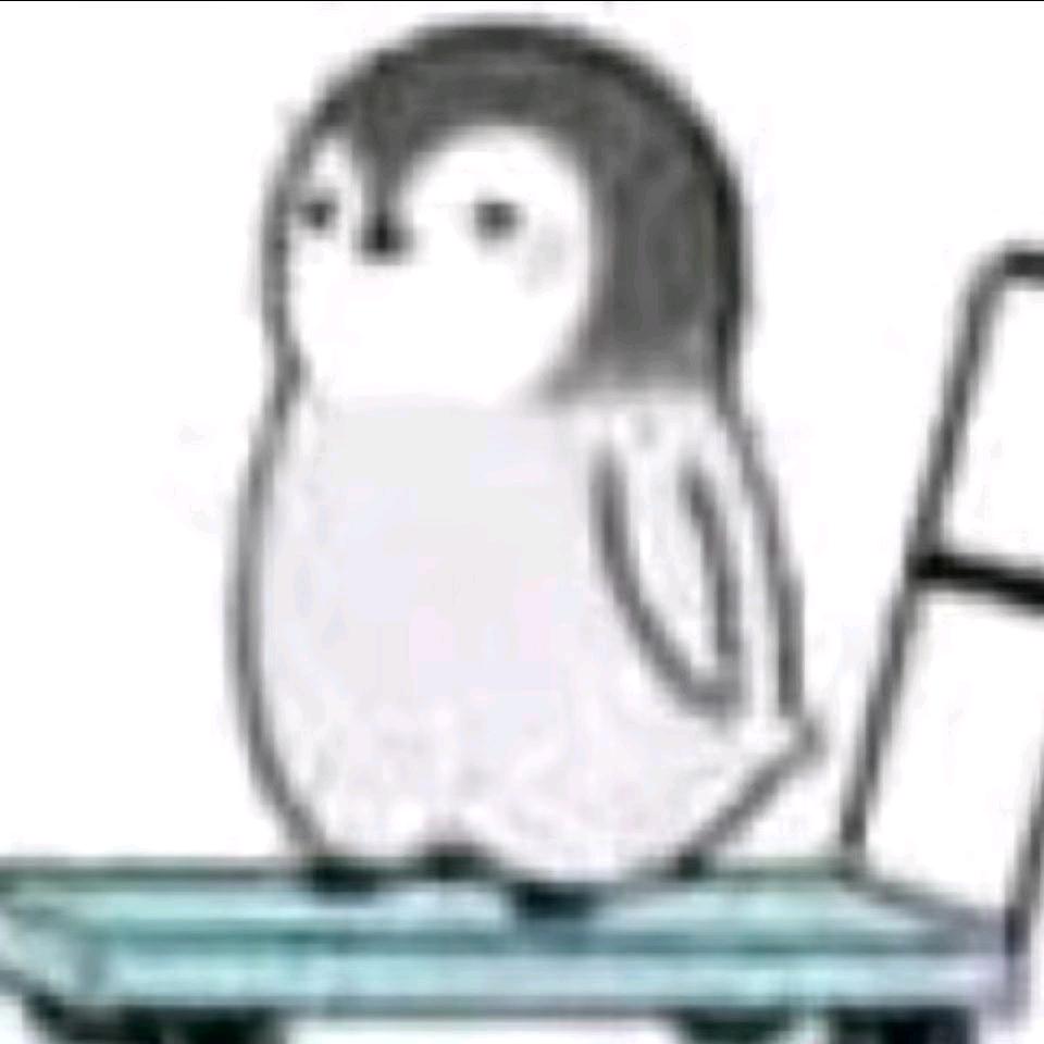 企鹅(｡･ω･｡)ﾉ♡