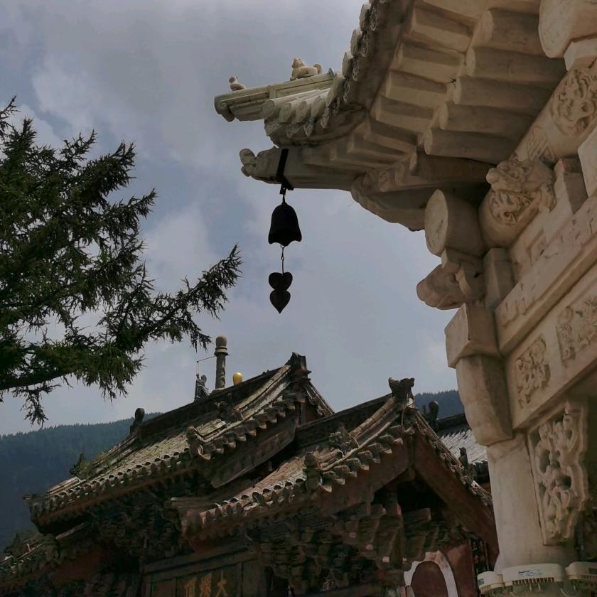 悟到