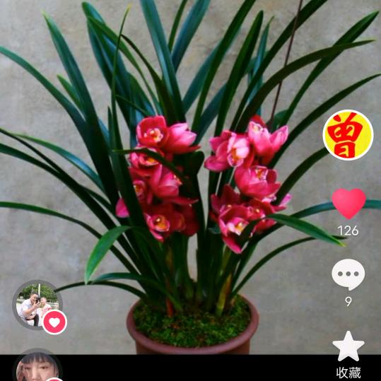 “曾”；曾；日☜上☞