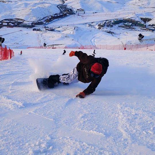 Go Wild 正義执行🇨🇳