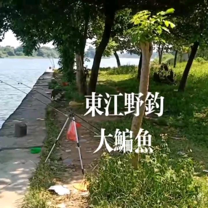 东江户外野钓