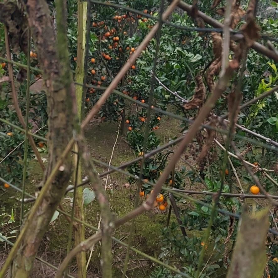 🙂🙃☺️🙃🙂