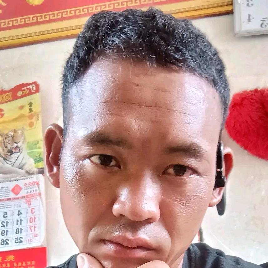 奈何情
