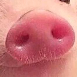 挺进破坏者