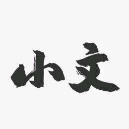 小文姐姐