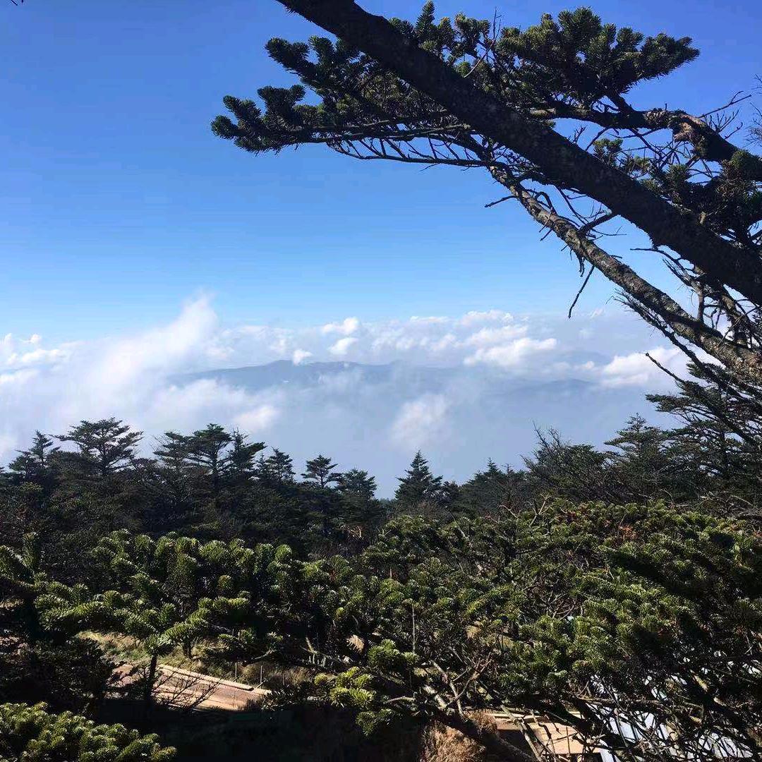 🌾🌦️吃亏是福