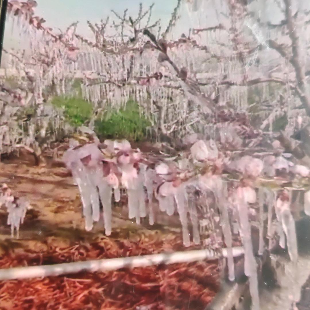 一人一车浪迹天涯