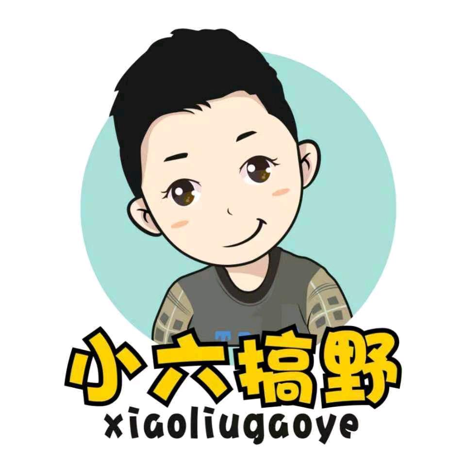 小六视野