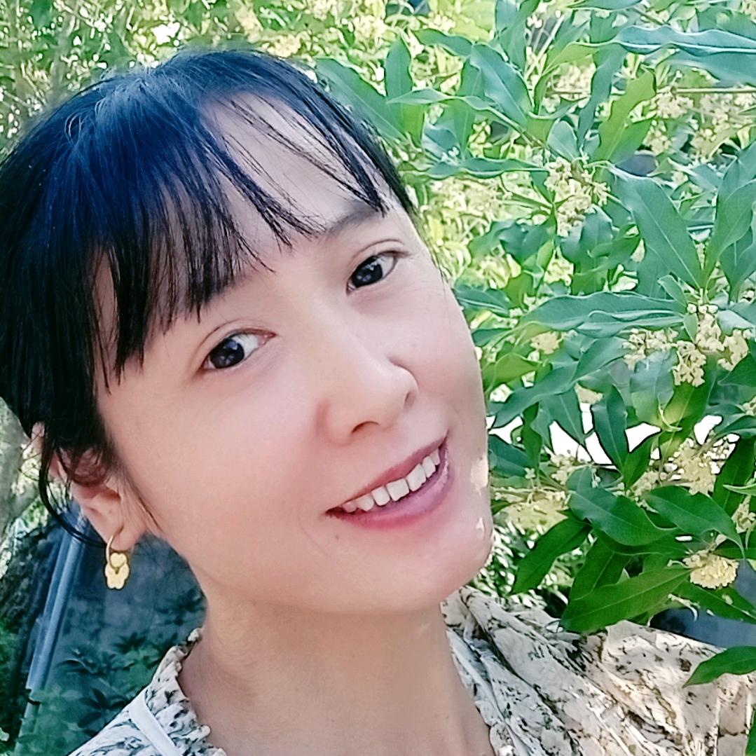 菊花（好物分享）