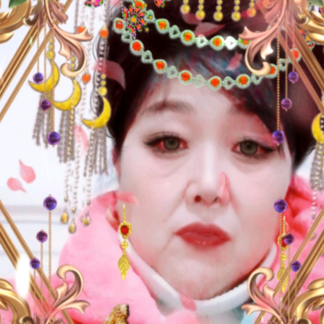 冬季的梅花