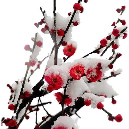 🌈爱在鼓乡🌈