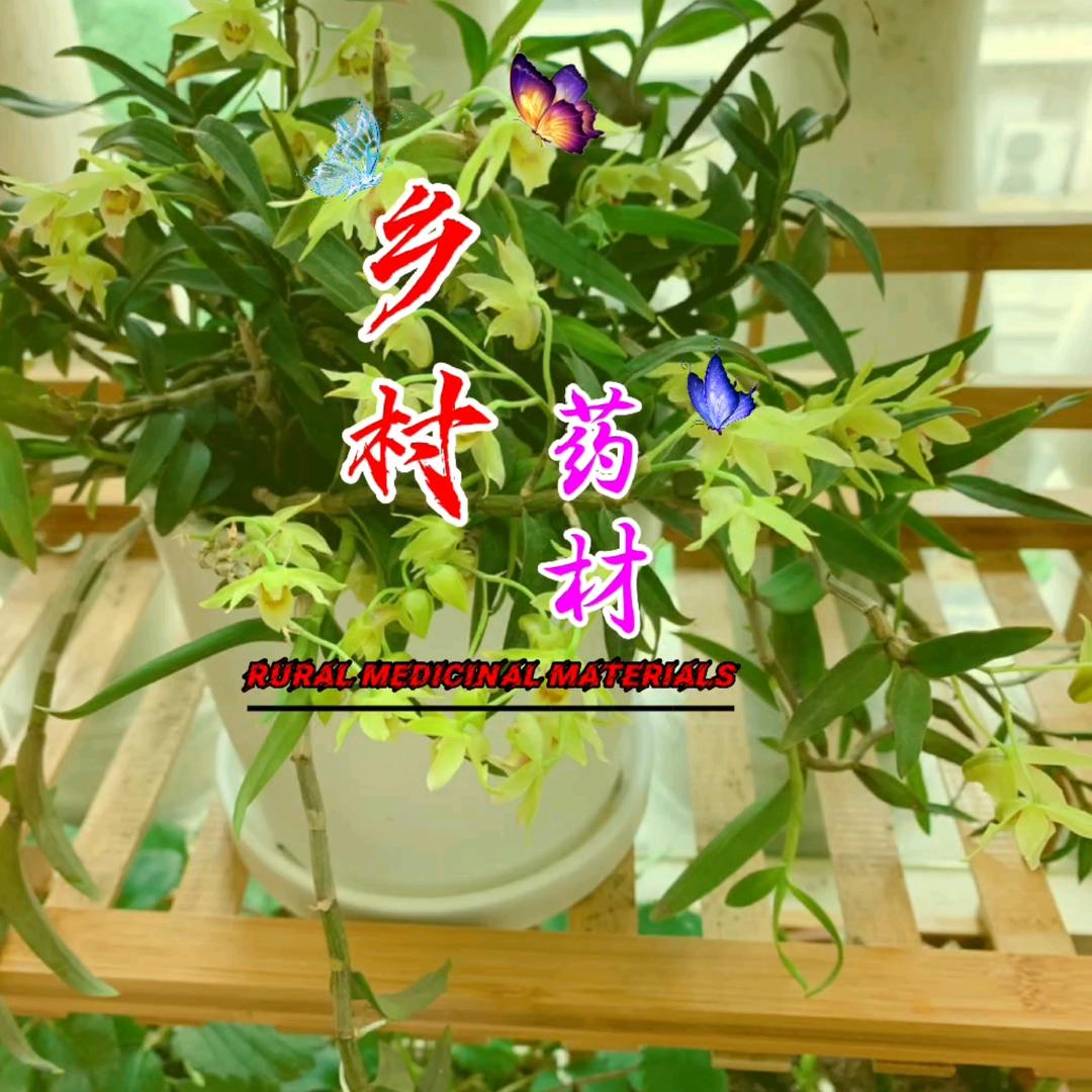 乡村药材