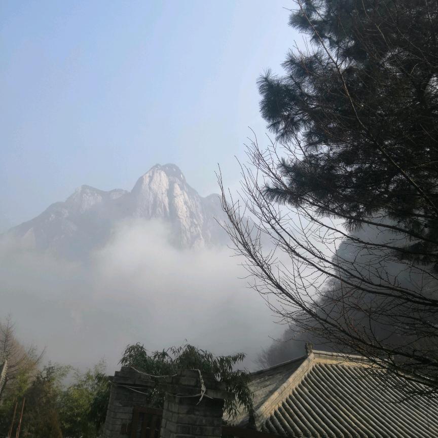 清雅如兰🌻🌻