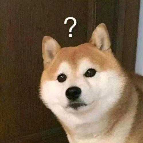 懵逼