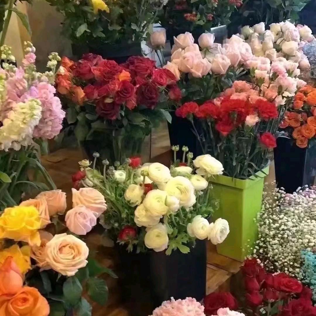 超越梦想