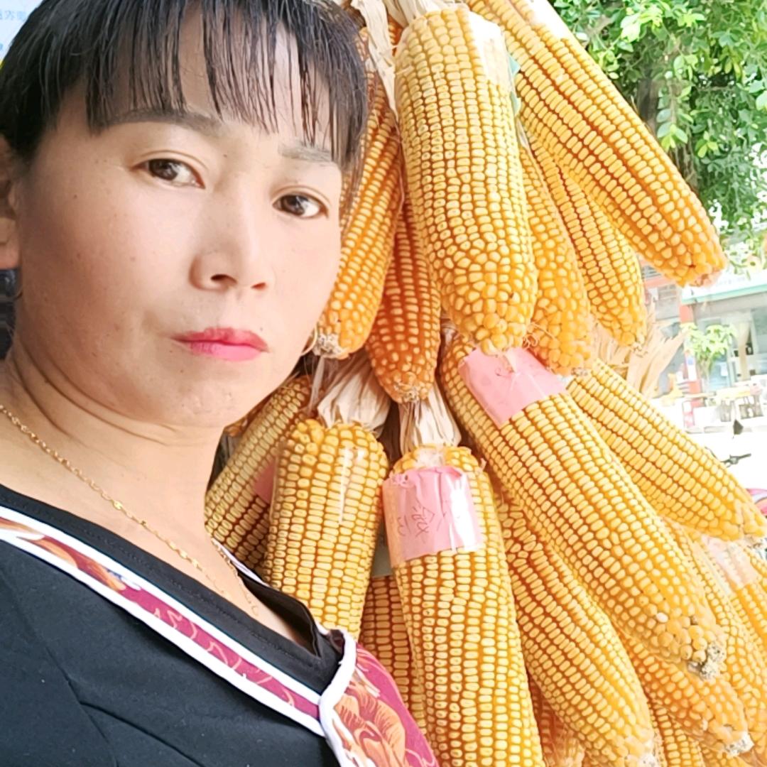 《阿仙》
