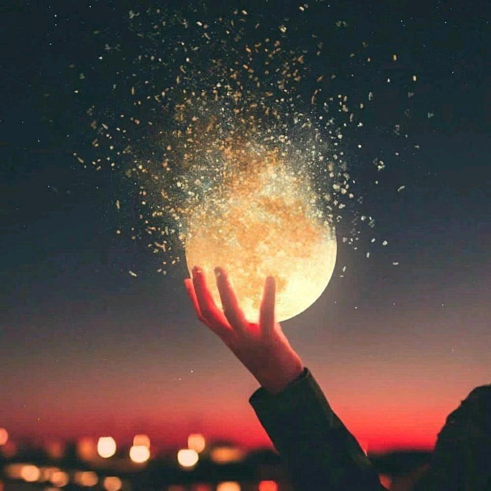 大沃同学（冬眠版）