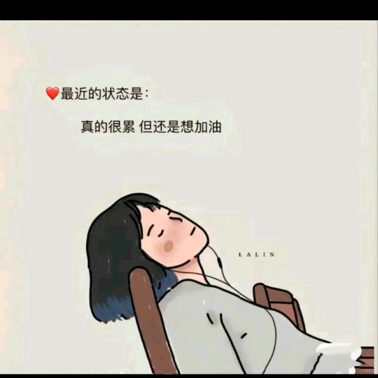 啄米zz