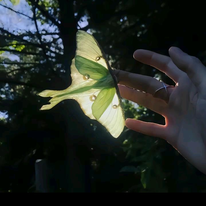 去广寒宫开个小酒馆