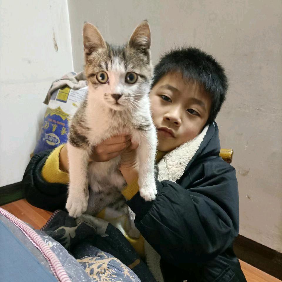 无人可依打工人。💪💪