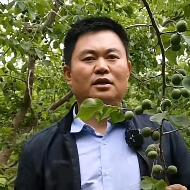 博硕果业