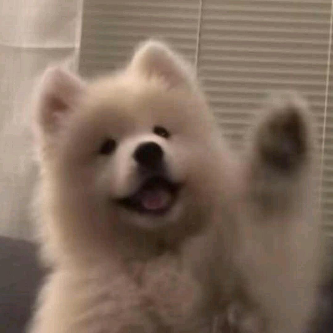请记住我的名字