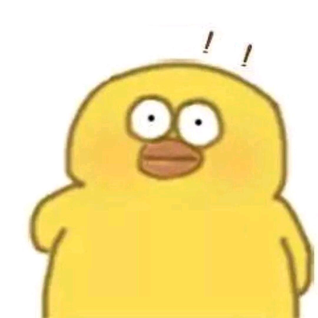鲨鱼酷裤