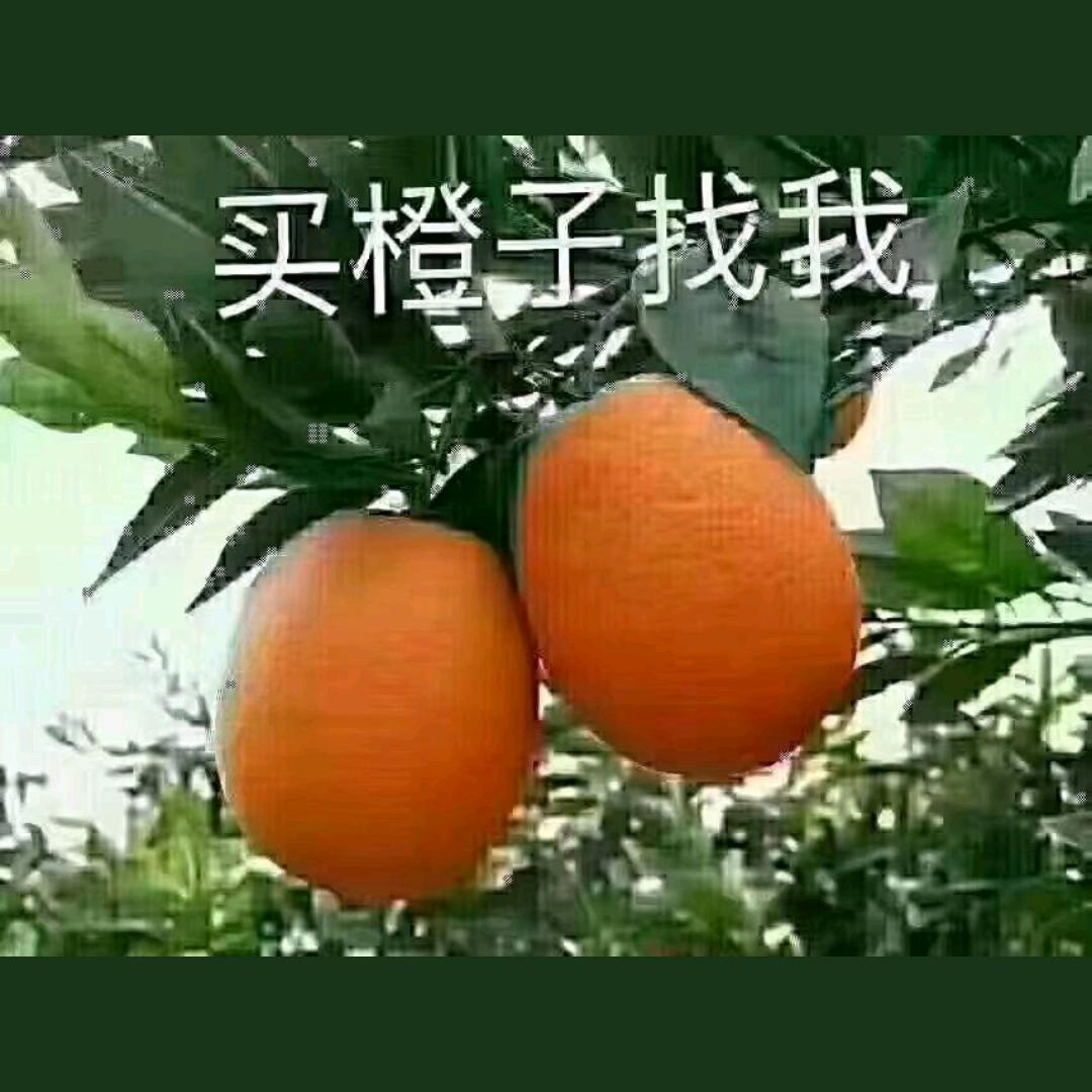 干掉你老公我娶你