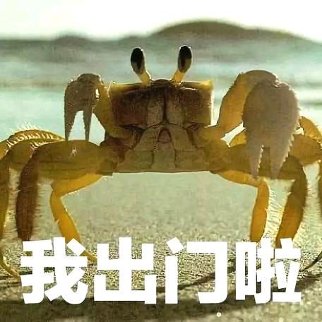 也是