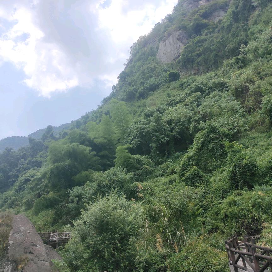 春暖花开