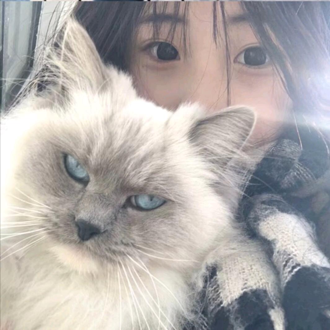 陪欣久一点吧.头像