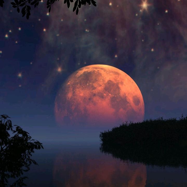 淄博瑞鑫水利工程有限公司