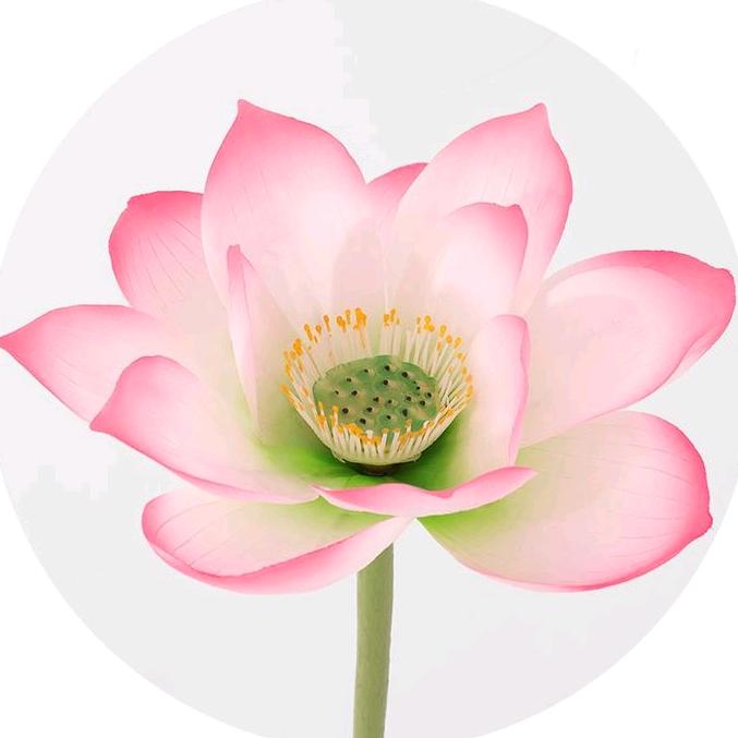 聚鸿福手工折纸