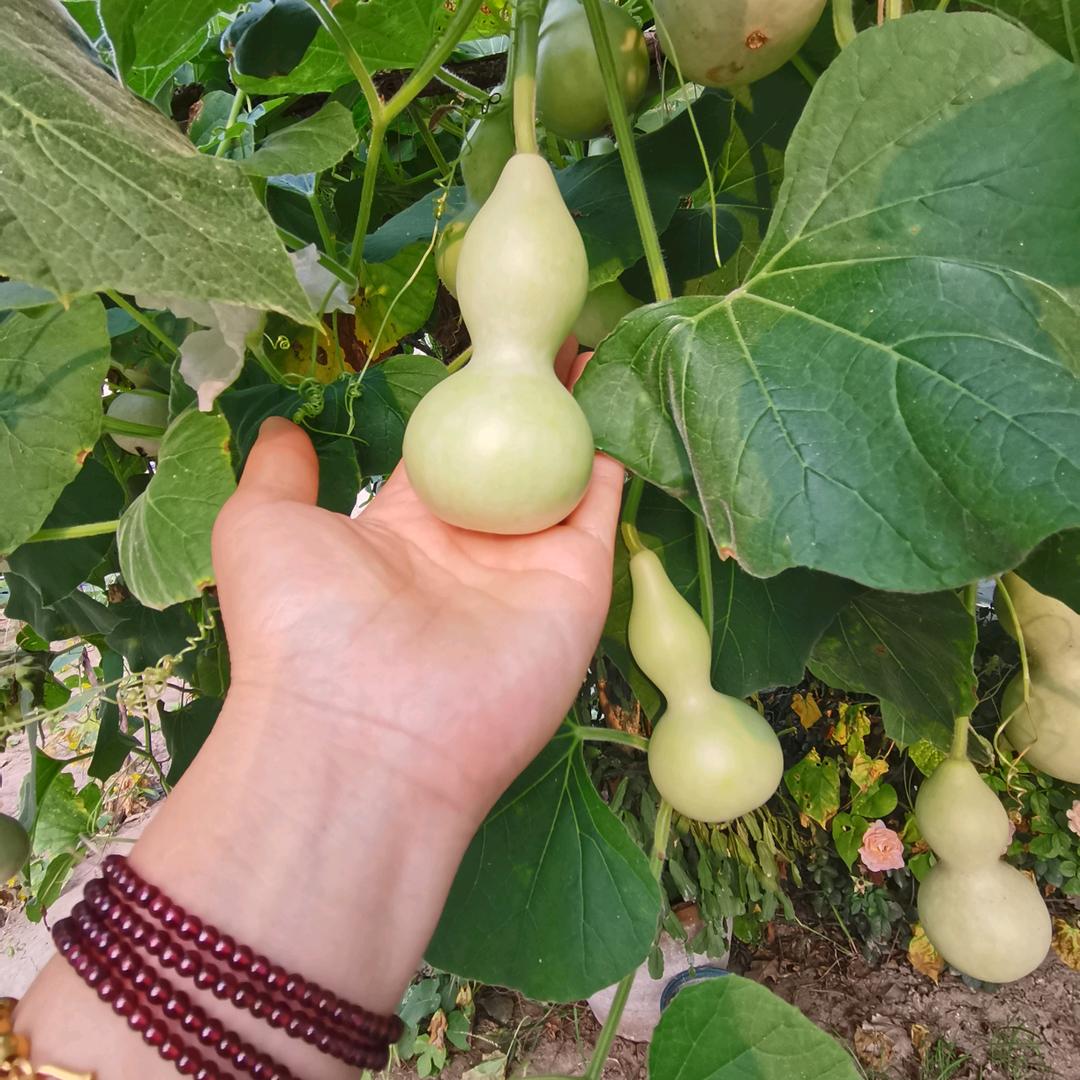 记录生活的点滴（拒绝私聊）