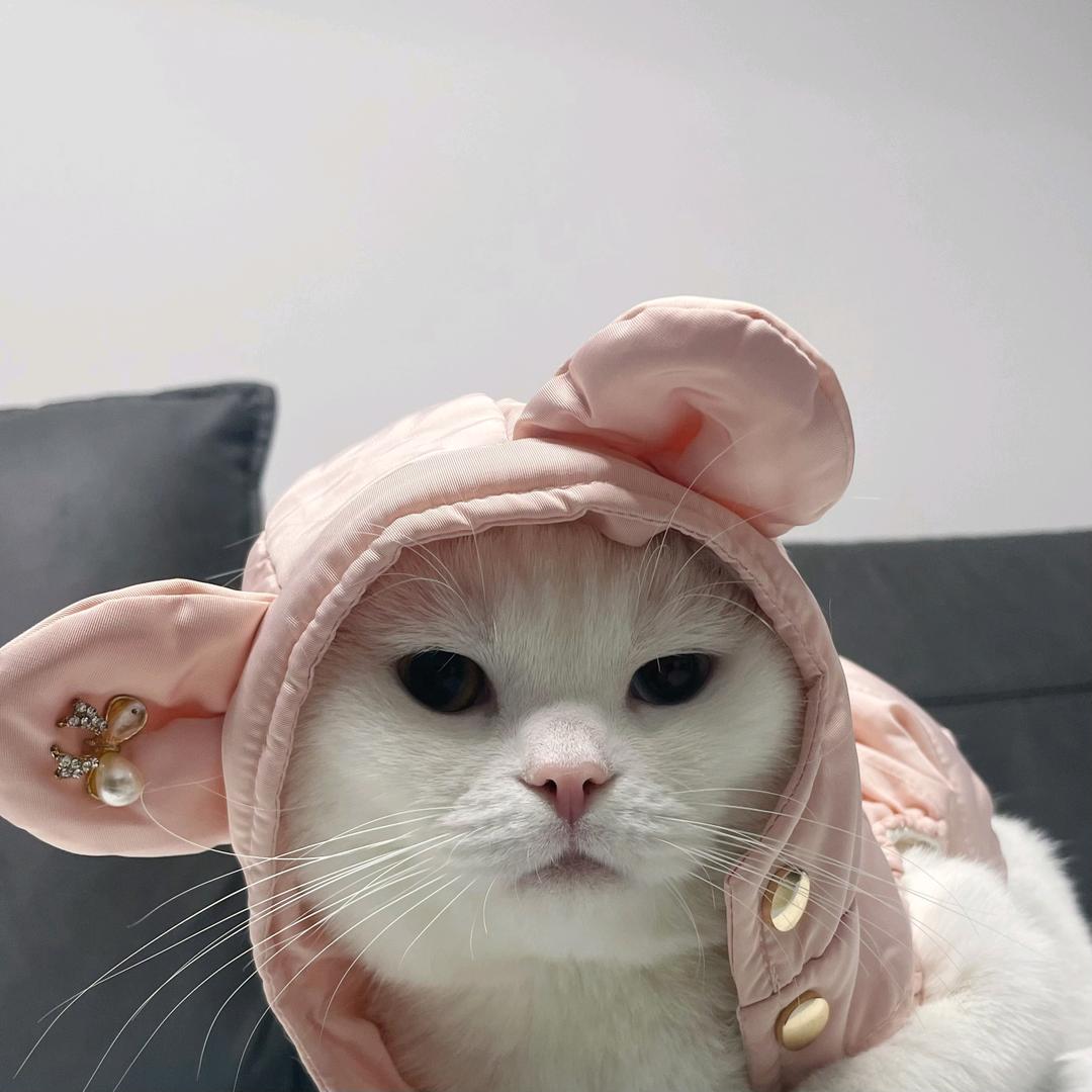 RoRoRookie