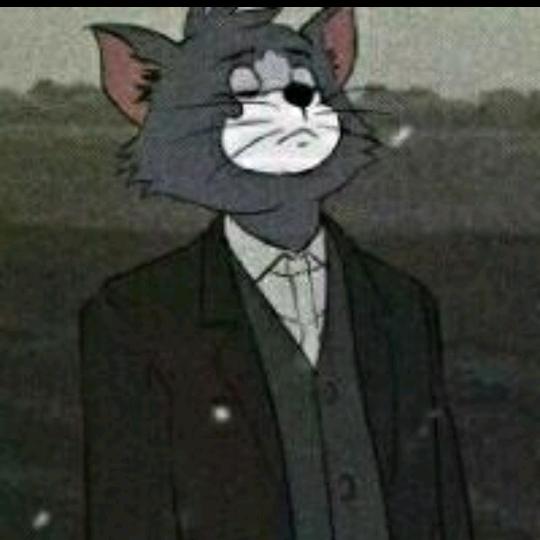 发光的是什么呢