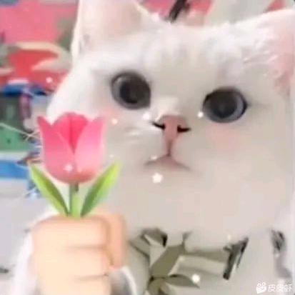 内蒙古君诺配件